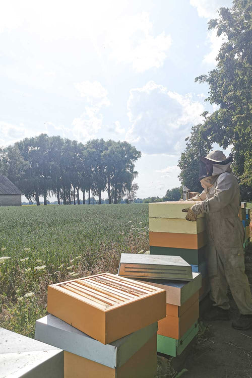 Irish Honey | Irish Honey Hives | Beekeeper