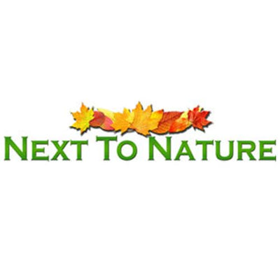 Next To Nature Navan - Best Irish Raw Honey| Healthy Bee Honey & Tea