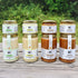 Raw Honey Jars | 1kg | 400g | Healthy Bee Ireland